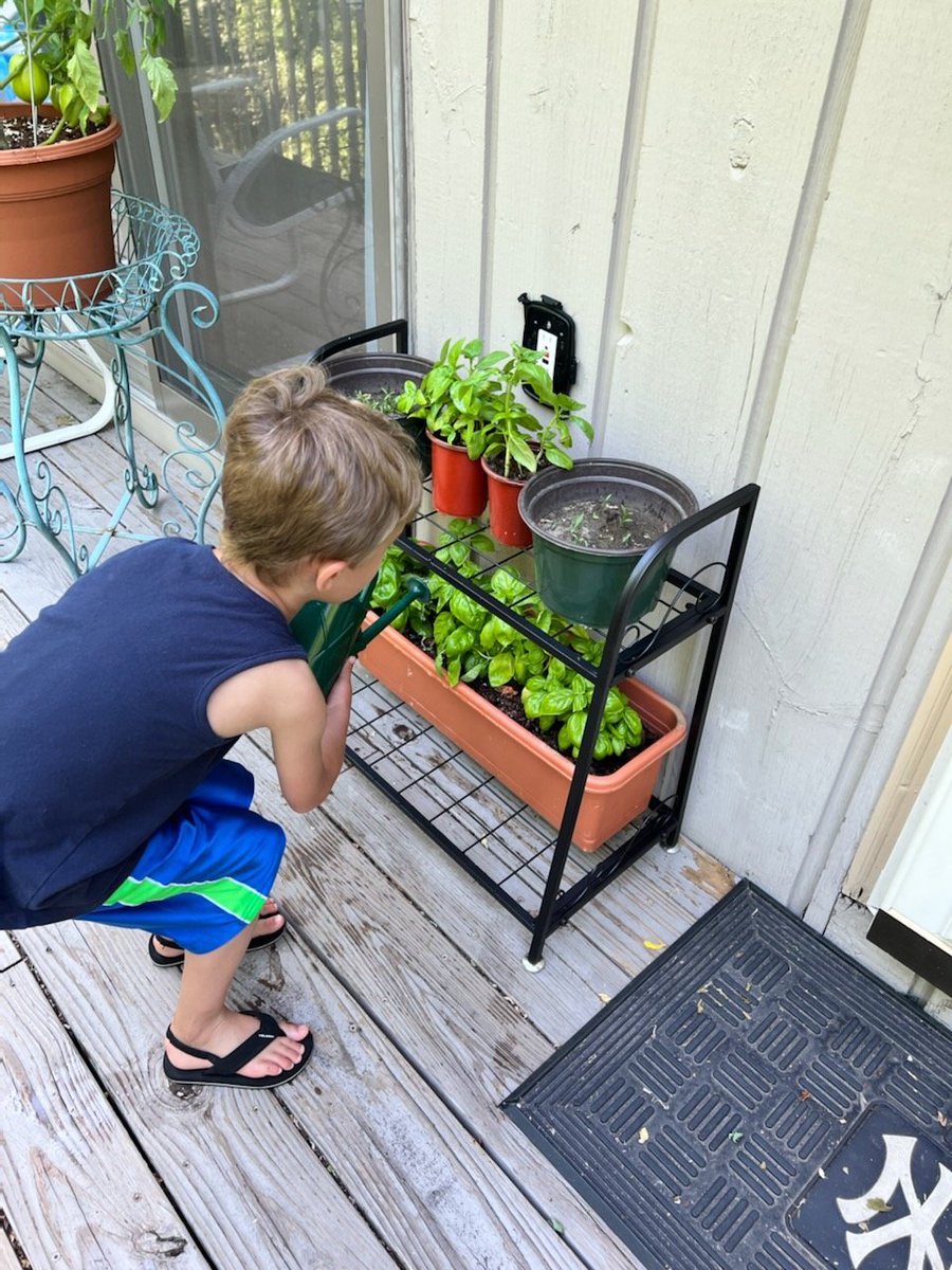 GregoryCzWFH's tweet photo. Let it grow! Tomatoes, basil, and cilantro on deck! #lifeatatt https://t.co/QgR3UYY0GN