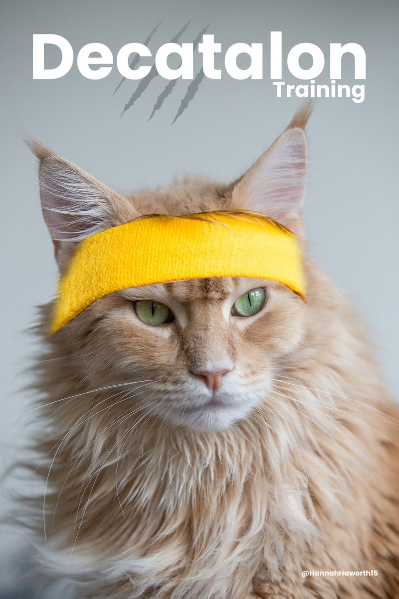 HannahHaworth15's tweet photo. Training for a deCATalon? #SportsForPets
@OneMinuteBriefs https://t.co/190RYiVZMo