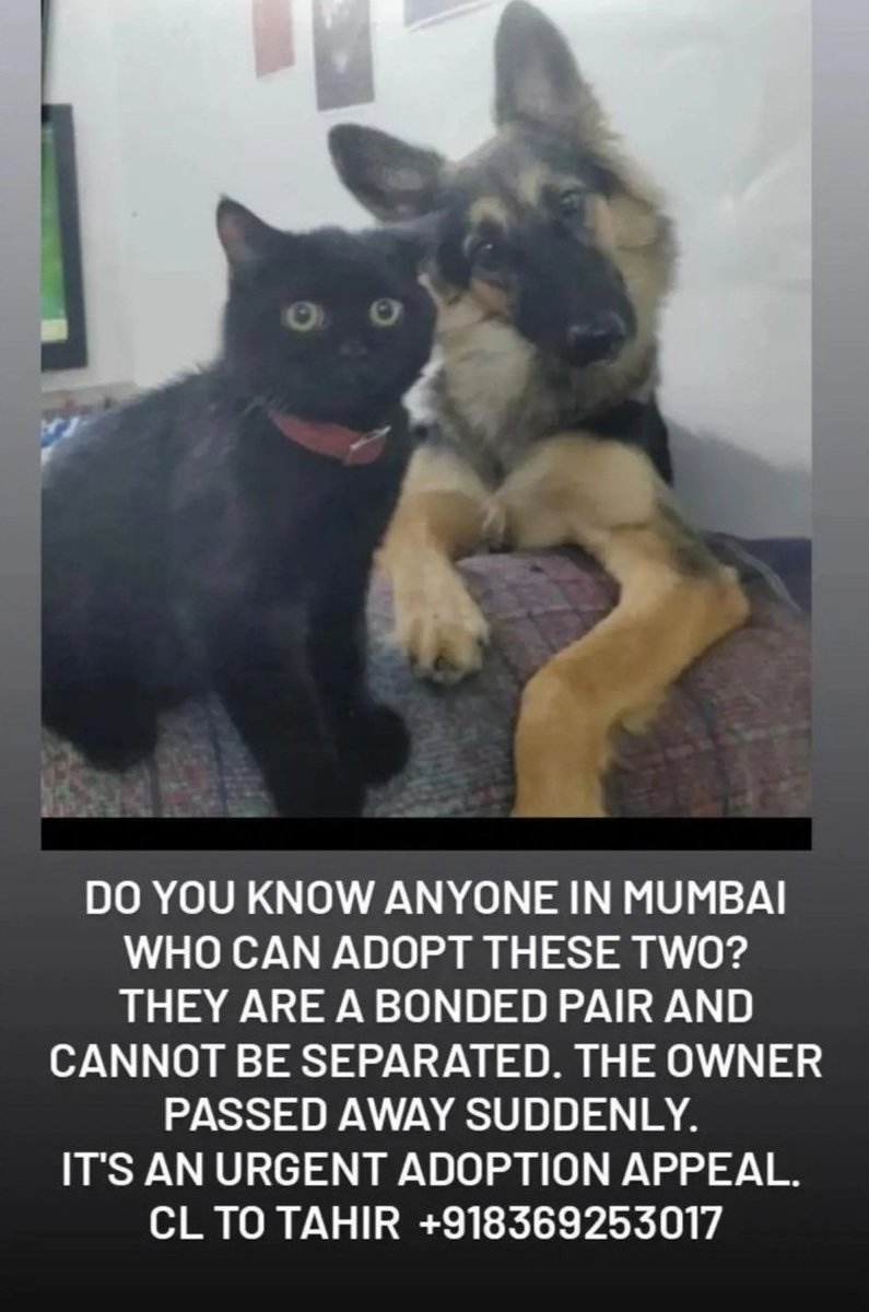 mitra_anirudhya's tweet photo. @AnimalLovers please share. #AnimalLovers https://t.co/FwTklKyHXO
