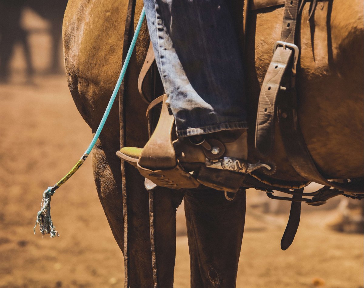 2022 Muleshoe Ranch Branding. John Anderson is part of the fourth generation to run the ranch and he chooses the Future All-Around to get the job done🌵
#firstswing #conquerwithcactus