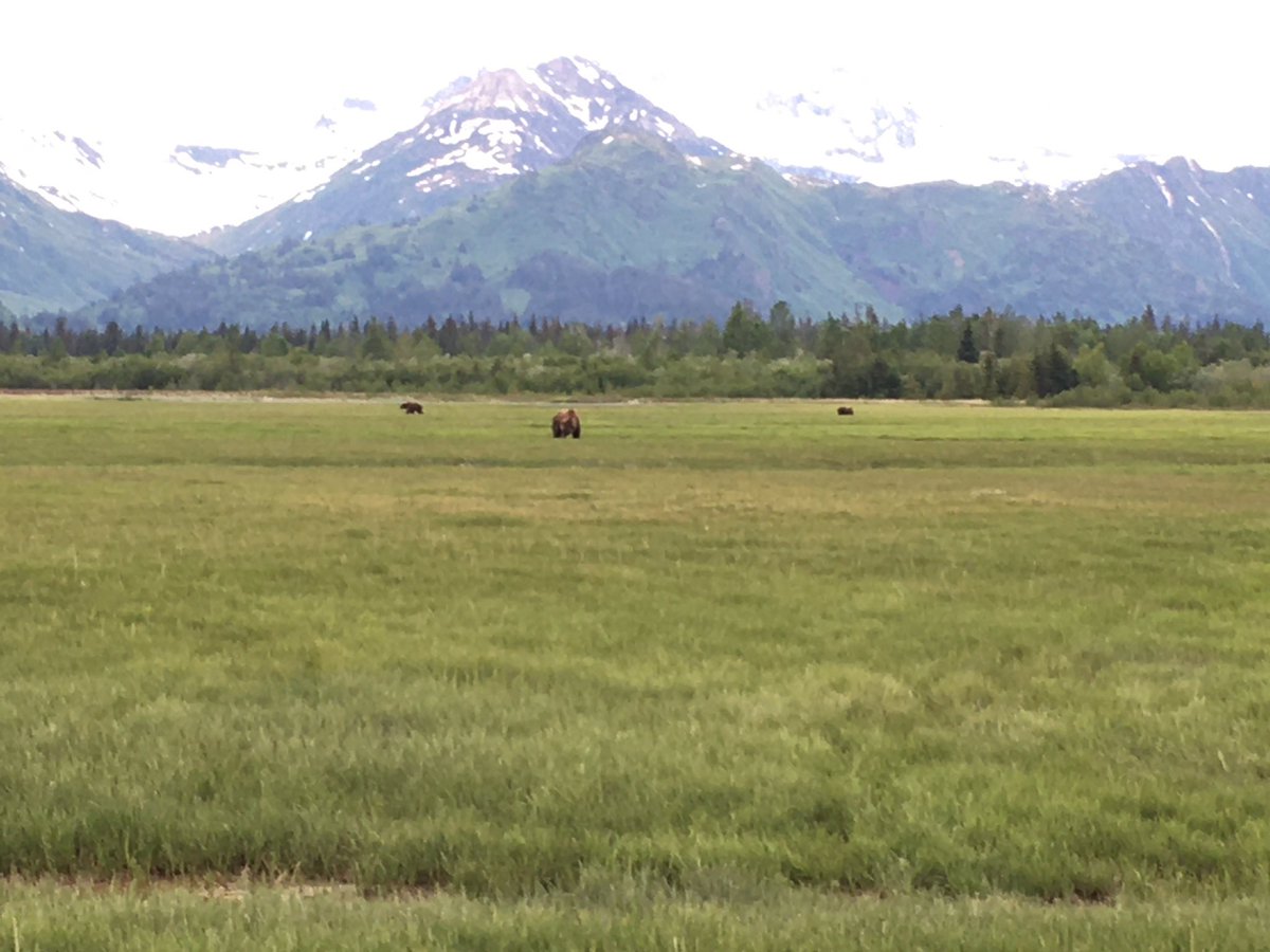 Justin Pinero tweet media