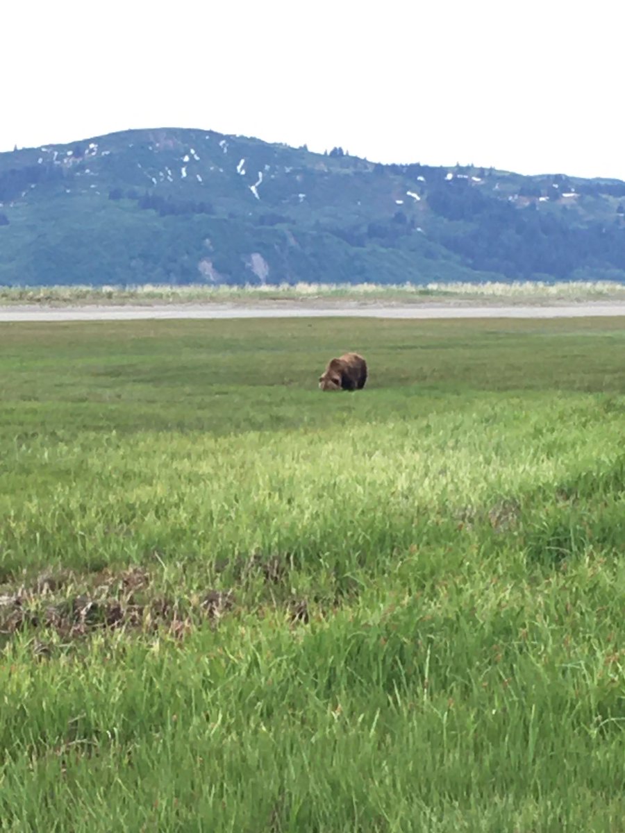 Justin Pinero tweet media