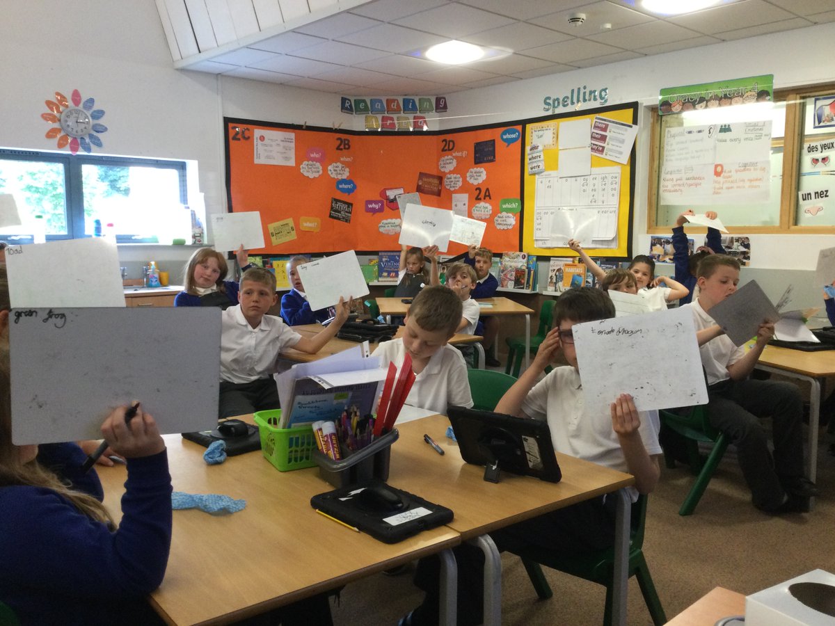 WillowGreenAcad's tweet photo. In Science, Year 4 have been sorting animals into their different groups ; mammals, reptiles, amphibians, birds and fish. They were very tricky to sort, but we worked as a team to successfully put them all into their correct groups.
#WGAscience
#Deltasciencelab
@priscigeeks https://t.co/hytpj7EoTr
