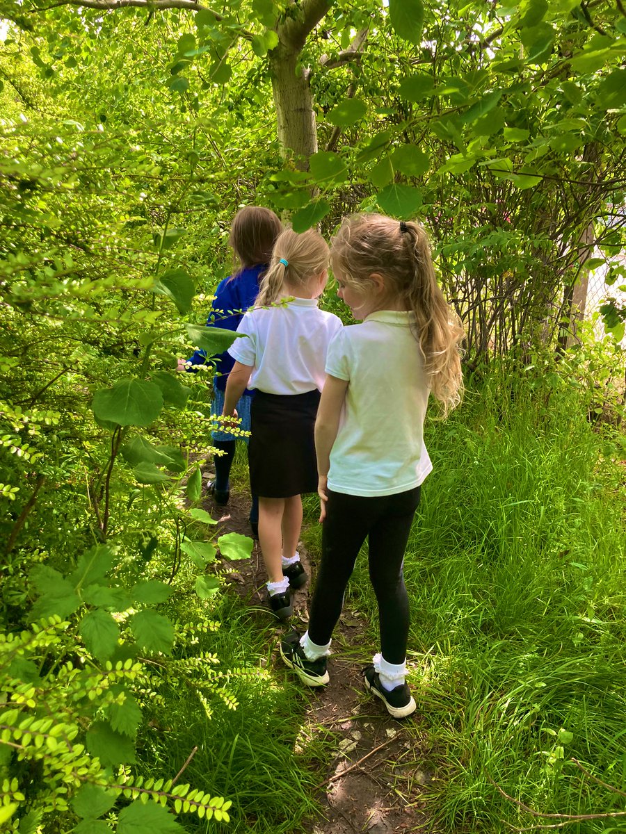 CPSEarlyLevel's tweet photo. “Let us gently go and absorb the forest atmosphere”
~MissF🌱🌳💆🏻‍♀️

#peaceful #calm #breathe #forestbathing #healthandwellbeing #Play4P1 #ColiDen #RoomtoGrow #BeingMe https://t.co/Gl660F8K8Q