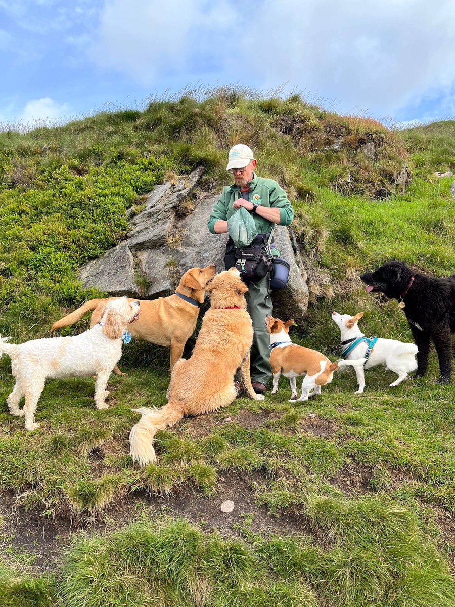 PeakWags&Woofs tweet media