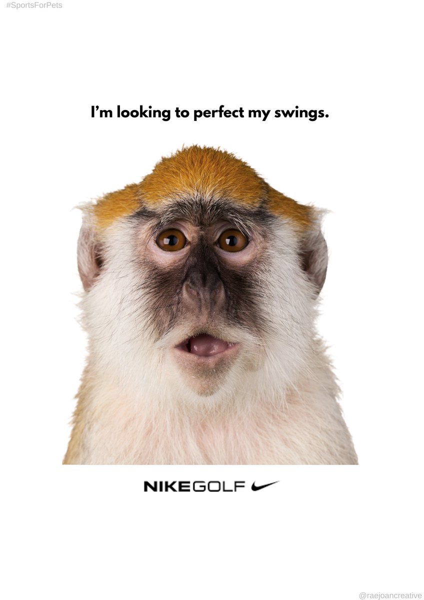 raejoancreative's tweet photo. β³οΈπ @OneMinuteBriefs #SportsForPets @nikegolf https://t.co/ej3y4eccXt