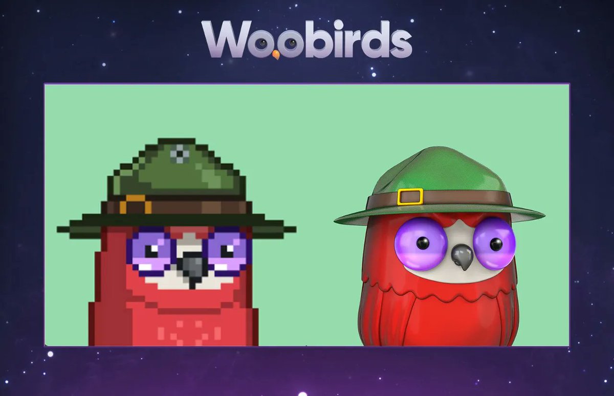 WoobirdsNFT's tweet photo. This little owl was patrolling the forest and apparently told us he found the big foot. We don't know if it's true, but she seems to be very shocked by something.

#NFT #NFTs #NFTCommunity https://t.co/gqIODdSRKr