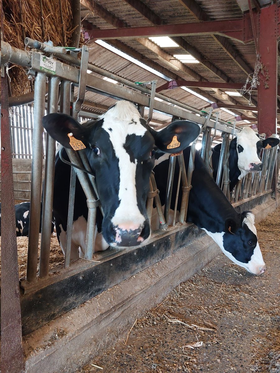 UnealCoop's tweet photo. [CLUB LAIT] 🐄🥛
Après une matinée riche en échanges sur les prévisions économiques 2022 animée par le #BTPL- Bureau Technique de Promotion Laitière, nos adhérents du #ClubLait découvrent l'exploitation de Pierre-Yves De Larmalière : #élevage #lait et #méthanisation. https://t.co/2nd90oFluR