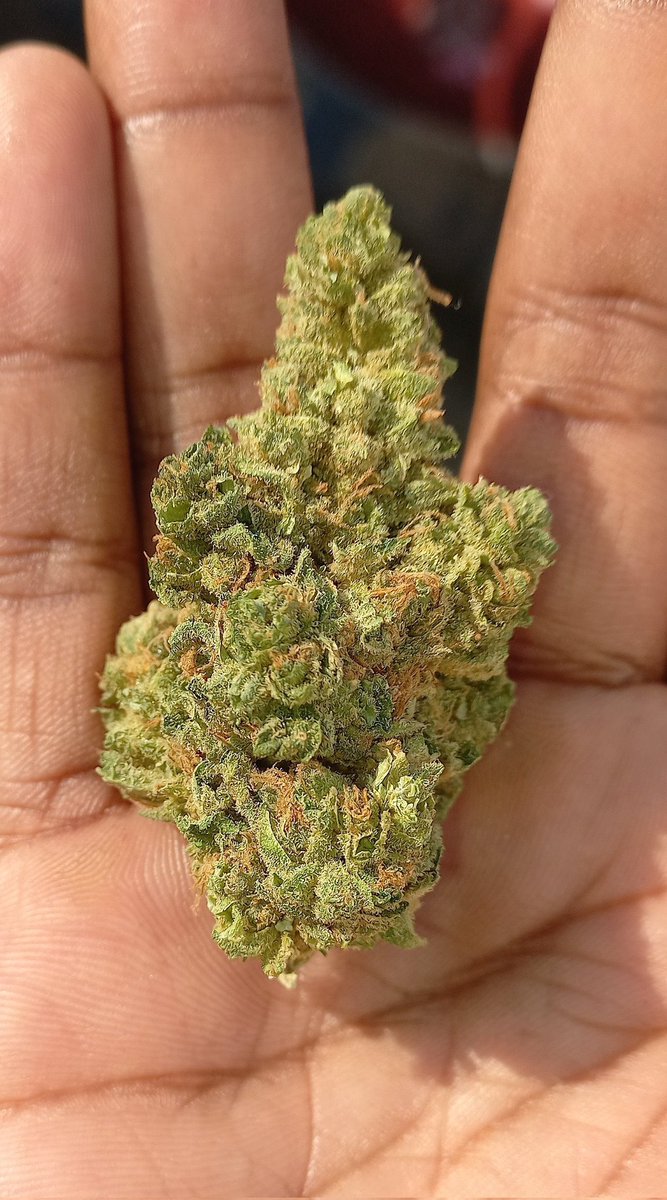 weedincancun's tweet photo. 😜⛽ https://t.co/JqcuJSt55E