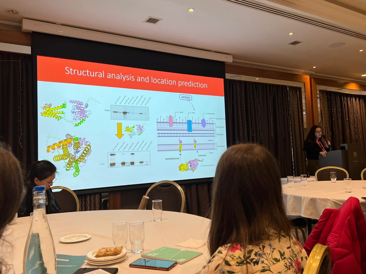 BronaghElmore tweet media