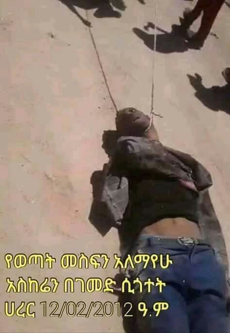 zerubab82105501's tweet photo. ። This is how #JihadistsInEthiopia trains kids to slaughter orthodox Christians when they grow up.#jihadistsinethiopia #StopEthiopianOrthodoxChristiansGenocide
#justiceforworabeuniversityorthodoxstudents #NoToTheNewEthiopia
#NoToSecularism https://t.co/TOVtgYzB3g