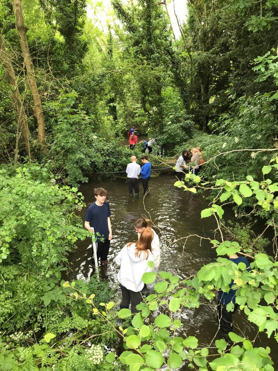 CGS_Geography's tweet photo. Third and final day on the #Misbourne @Colne_Valley Today, Mr Patterson's #Yr10 #GCSE group were wading, paddling and measuring around on the river.
well done to all our students who took part this week. We hope that this area of #Geography has really excited and engaged you.π©βππ¨βπ https://t.co/1fAsIpbPxM