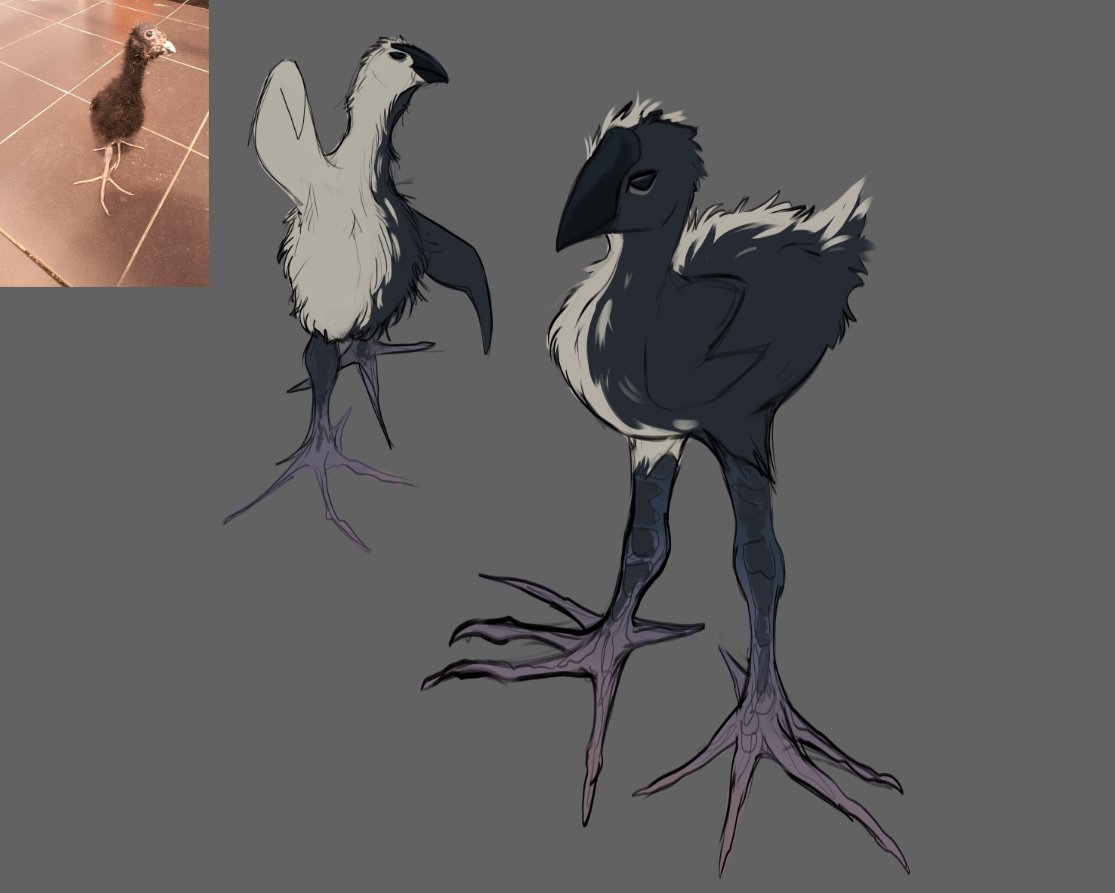 Candy_CoralZ's tweet photo. true sona real oficial pukeko https://t.co/wJSJhxvEx1