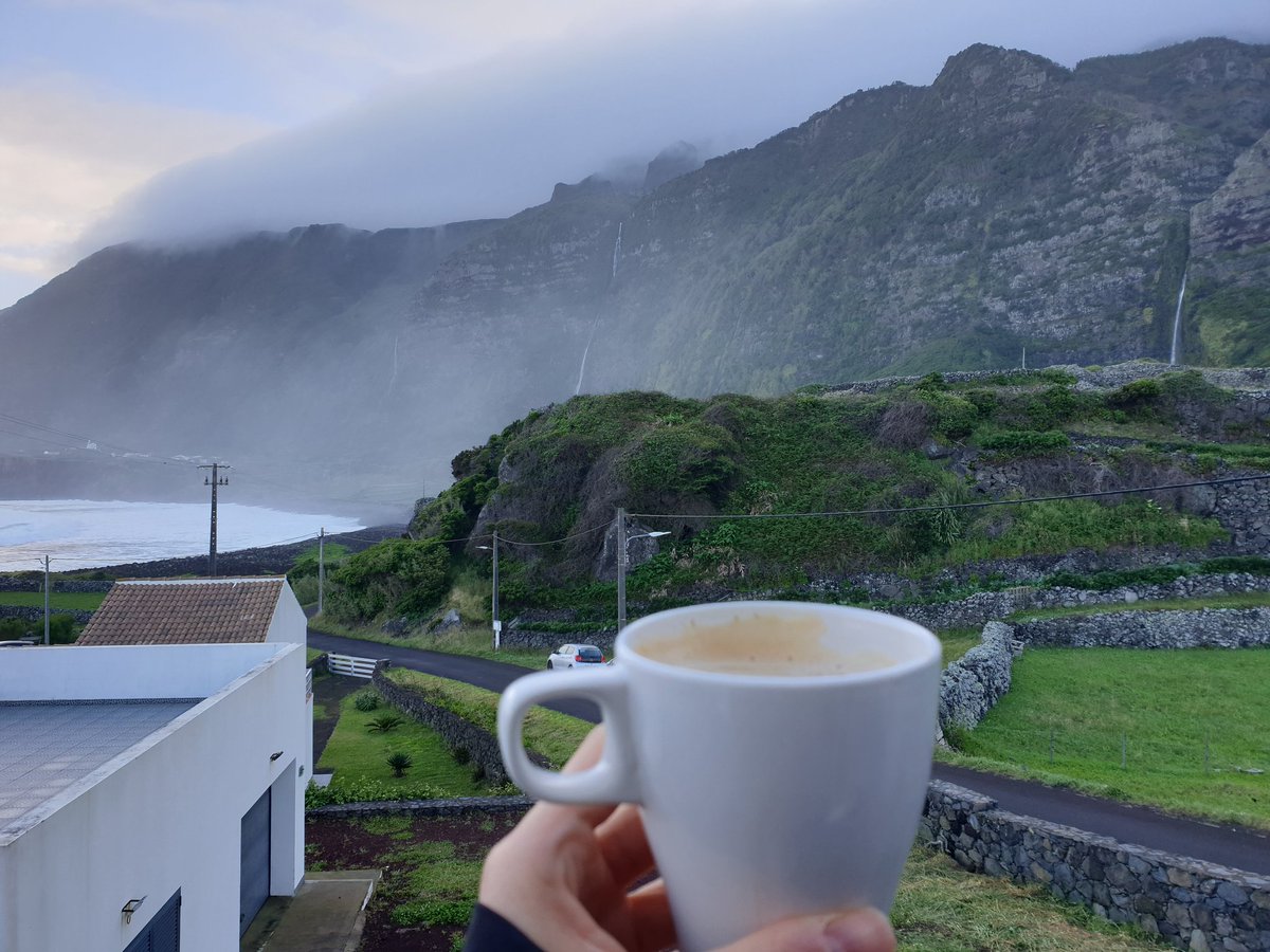 Marteena 🐋 tweet media