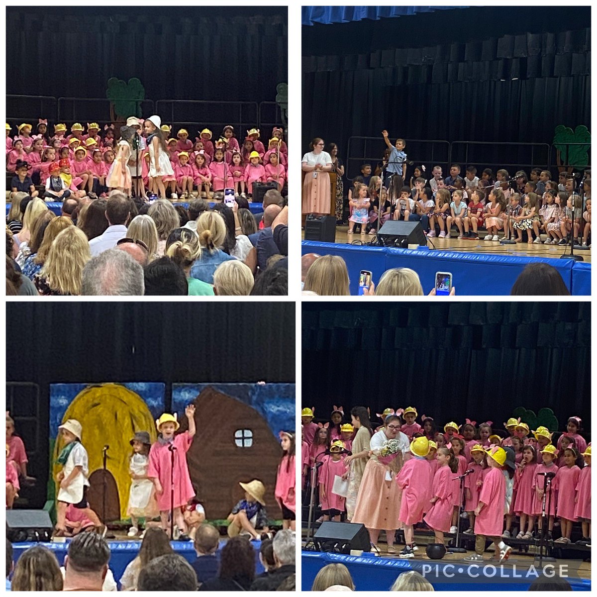 Laura Donovan School tweet media