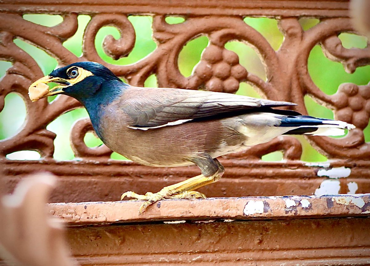 Cambridge Centre for Evidence-Based Policing tweet media