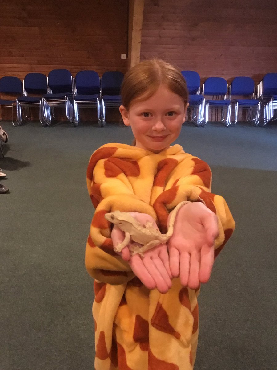 stjosb30school's tweet image. Reptile friends ...