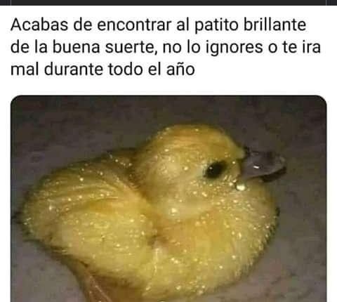 🔴 ESPACIO tweet media