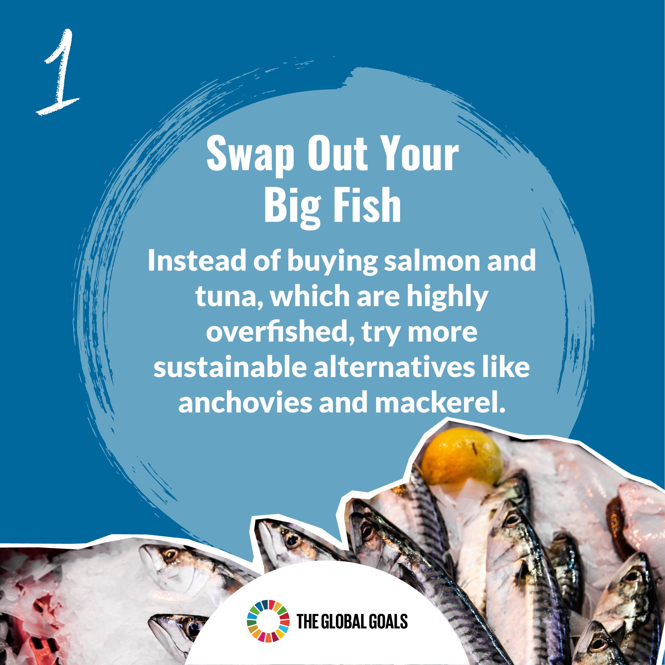 Wheels Of Hope Rising Foundation / Twitter