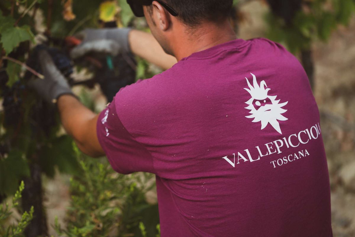 Vallepicciola is a winemaker in Tuscany that we are thrilled to have added to our portfolio! 🙌

Vallepicciola grows a range of grapes in their vineyards, producing some beautiful wines! 🍇🍷

bit.ly/3koKMnn