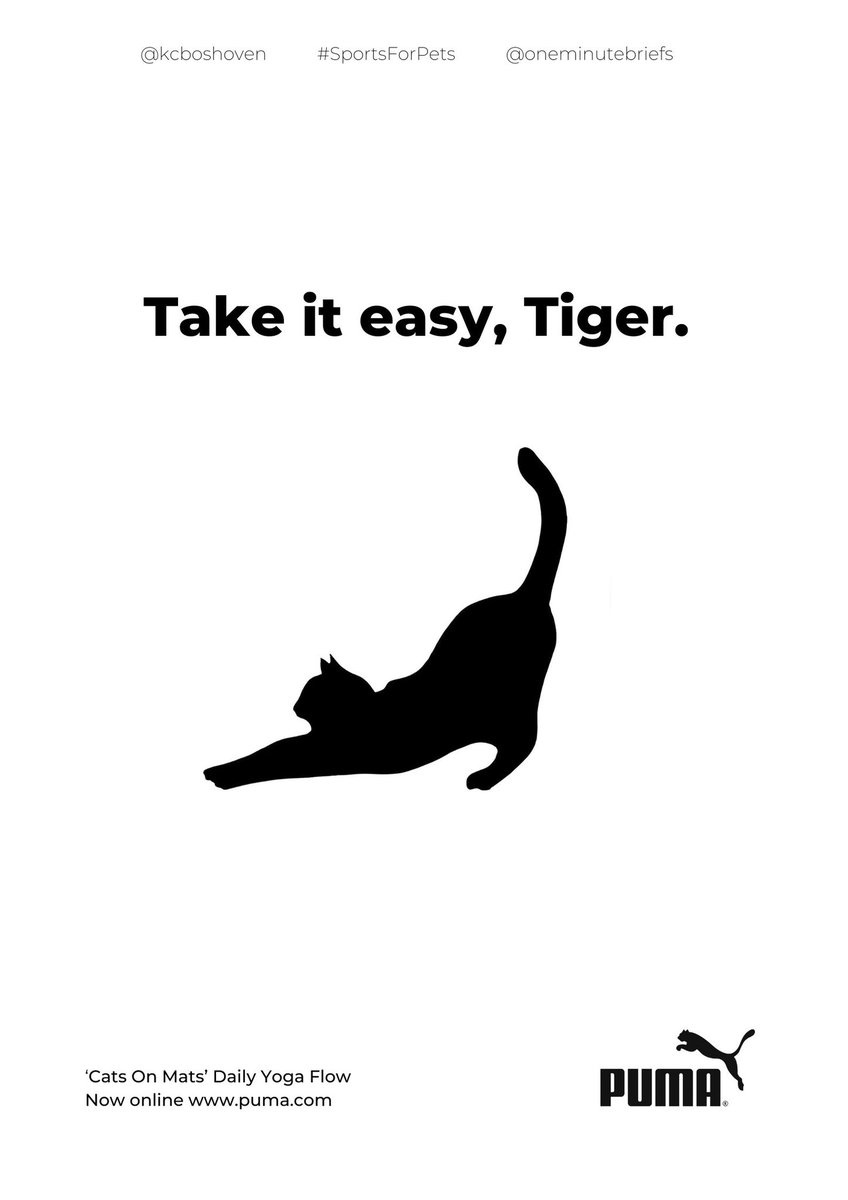 kcboshoven's tweet photo. Today’s @OneMinuteBriefs advertise #SportsForPets 🧘 🐈‍⬛ @PUMAGroup https://t.co/RDlPrXrCVE