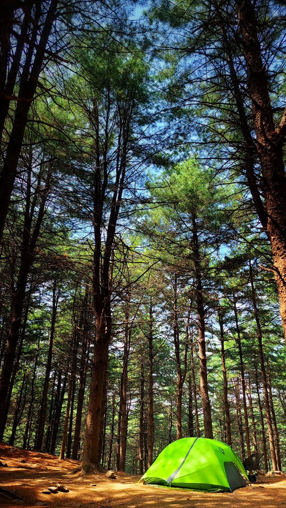 100dj2's tweet photo. Gamaksan(Mt.)
#backpacking #South_Korea #near_Seoul #phytoncide https://t.co/p1NWq28LVc