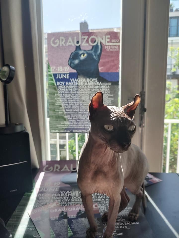 Grauzonefest's tweet photo. Ready for #GZ22? Get all the information, tips and updates delivered straight into your inbox for the most smooth festival experience! 
Subscribe to our newsletter for the latest news, instructions for how to get around, playlists, and more! 

Subscribe →https://t.co/0pXPYk6GI0 https://t.co/tT84VxixCA