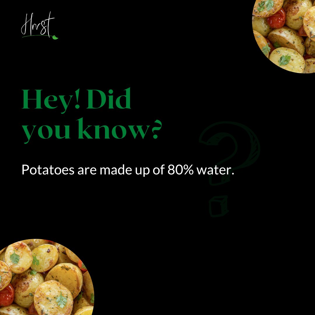 _HrvstApp's tweet photo. Potatoes are a good source of fibre that will keep you full for a long time and even help you lose weight.
-
Like to shop for some potatoes and other fresh produce? Click the link on our bio to sign up for early access.
-
#hrvstmarket #farmproduce #freshfoods #groceries https://t.co/lOZbbDWlNm