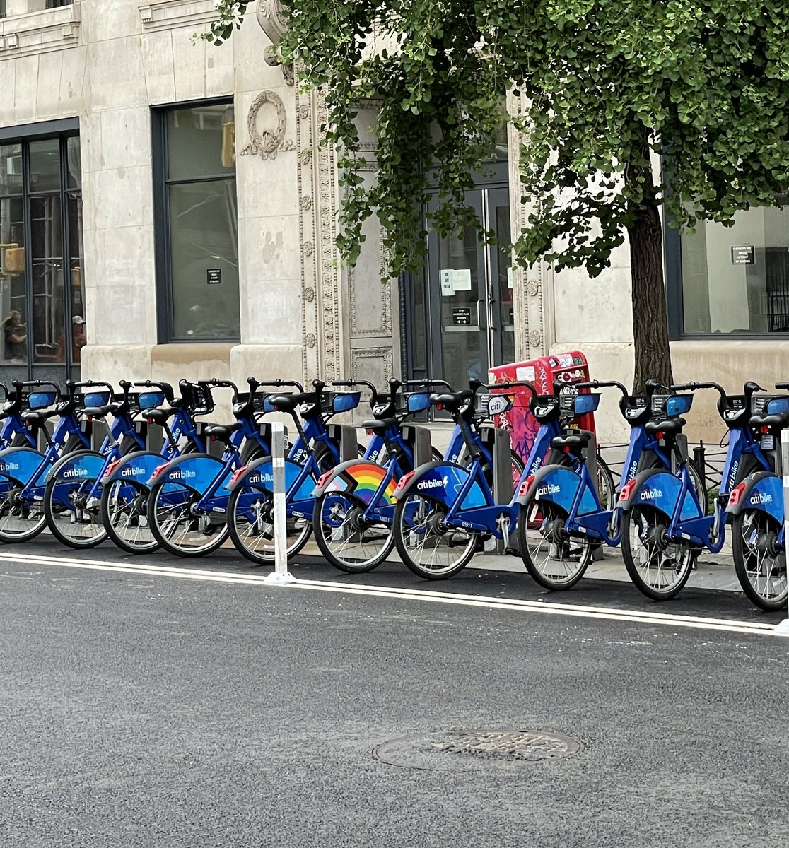 wildlyoffended's tweet photo. If you are gay you are legally obligated to ride this citibike https://t.co/pExl4p72hD