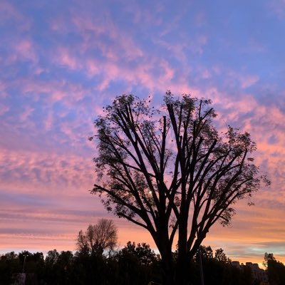 JFrenbo's tweet photo. #NewProfilePic https://t.co/CmwxDpt50R