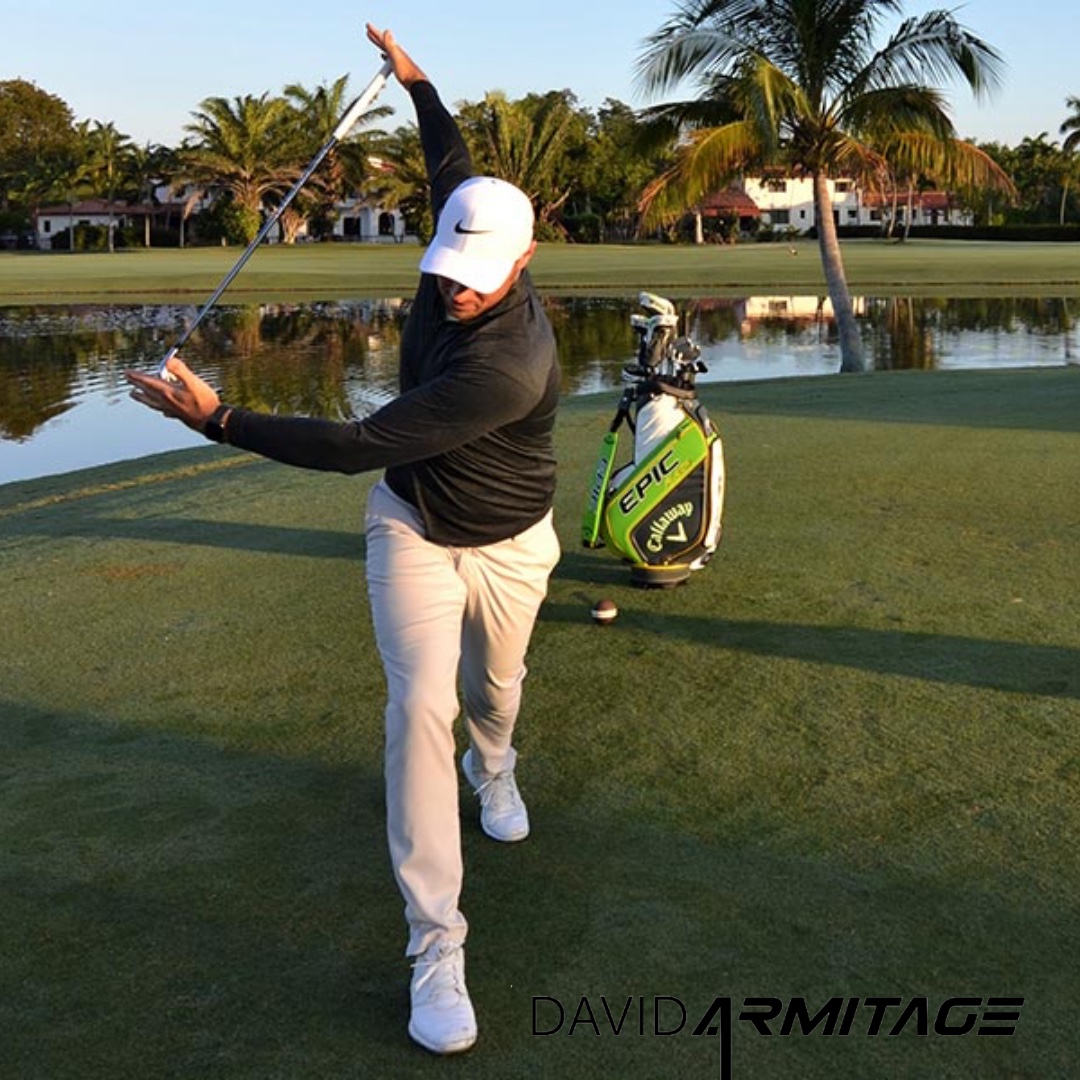 David Armitage tweet media
