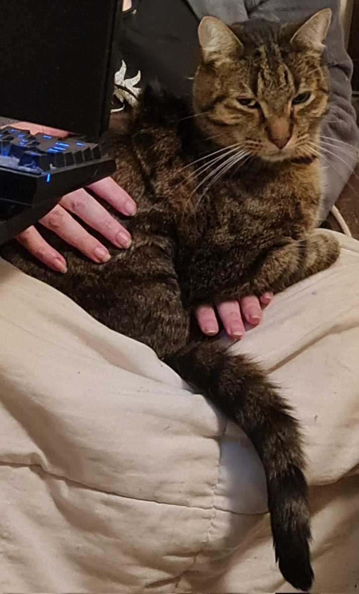 "Yes... I know I'm sitting on your hand. Problem?"