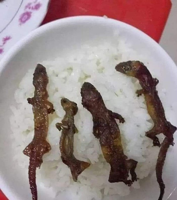 Alphanumeric_X's tweet photo. @nixeniego @AxieInfinity @SkyMavisHQ Nix, you should be ashamed of yourself. You've exploited the good people of #Philippines by your false promises.
Have you seen this image where #axieinfinity players, who helped build this game are now forced to eat rice and lizards while you party in a new building!
#BurnSLP https://t.co/gYeu7y6gyj