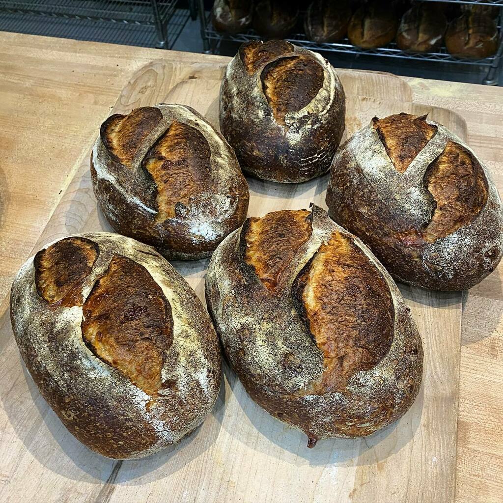 mightybreadco's tweet photo. 3 cheese sourdough. Grilled cheese MVP since 2015 #realbread #sourdough #naturallyleavened #phillyeats #phillybaker #eastpassyunk #bbga #breakfast #wholegrain #wholewheat
#bread #toast #breadbosses #crust #breadbaking #eaterphilly #yophillymag #foobooz https://t.co/zTi4iI4Jot https://t.co/7PuOMMaSvM