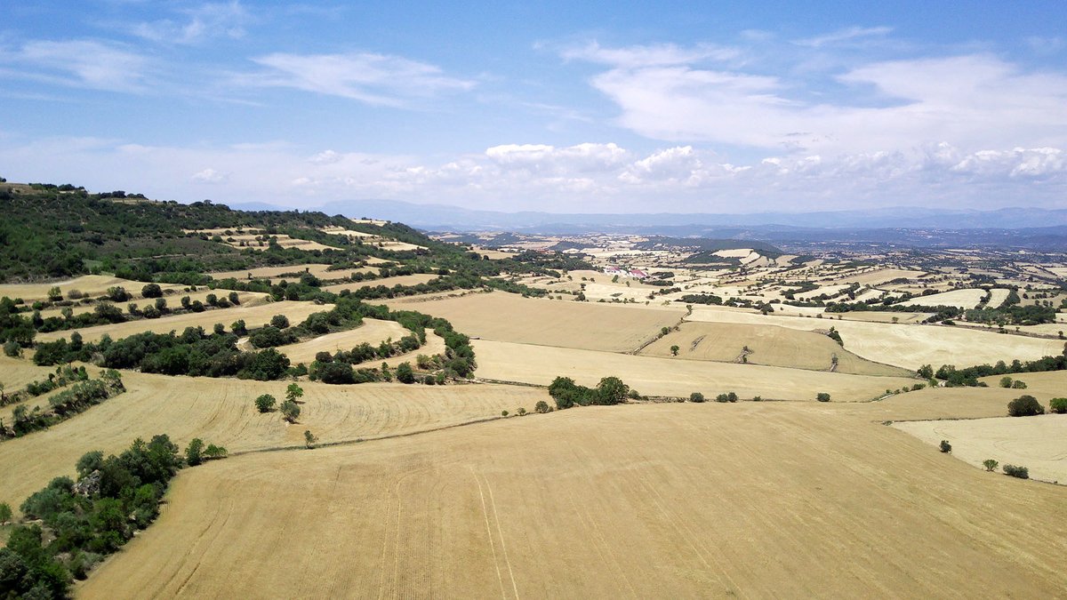 Planant per la @valldellobregos , #primaverasegarra, #bonatarda