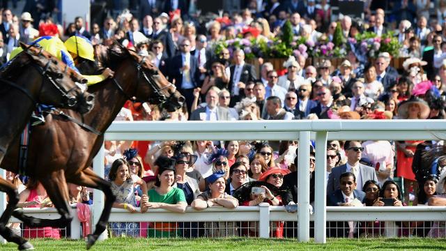 oclvision's tweet image. Experience the glamourous Royal Ascot horse racing meeting, surround yourself with fast horses and fancy hats at the world-famous #RoyalAscot race course from 14th to 18th June: #thingstodooutside #horseracing ow.ly/uJOO30slhxf