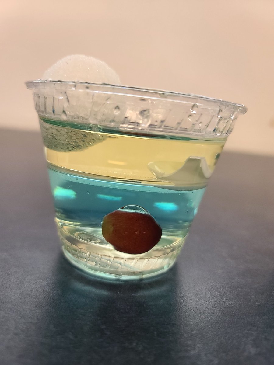 positive_mrs's tweet image. This is my all time favorite science lab!😁 

My students are always shocked when the grape🍇 doesn't submerge through the syrup!🤯😅😍
I'm embracing the new journey!😉
#SummerScience #RelativeDensity