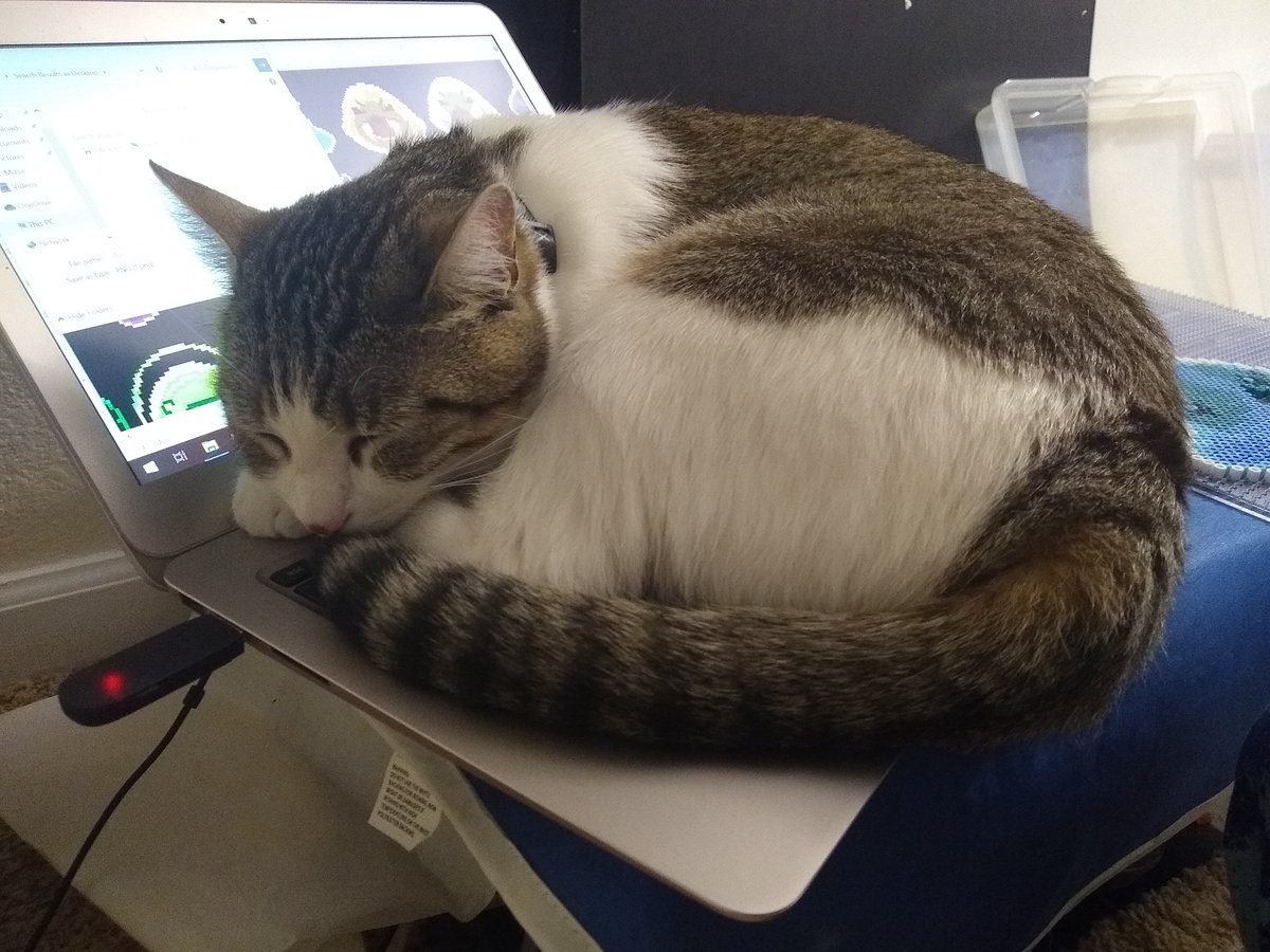 PerleringPixies's tweet photo. I think she's telling me to stop working. 🤣 https://t.co/6w57zRBMkt