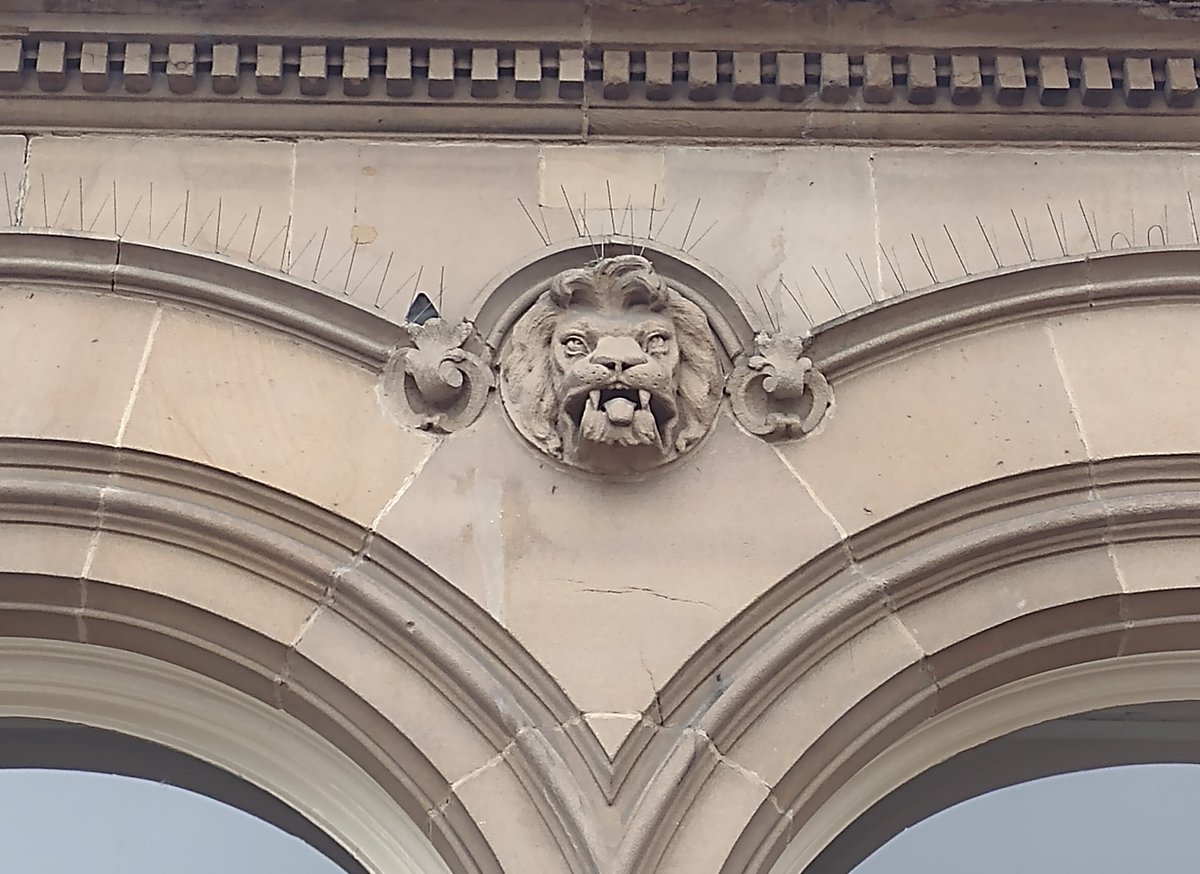 EldonHaz's tweet photo. Have you met the fabulous Jubilee lion in the @TGWBarnsley yet? Looks like he's ready to join our pride of lions on Eldon Street. They're hiding on the Queens Hotel (opposite the interchange). Have a look next time you're passing and see if you can spot them! #LookUp #Barnsley https://t.co/ODOFpwmI40
