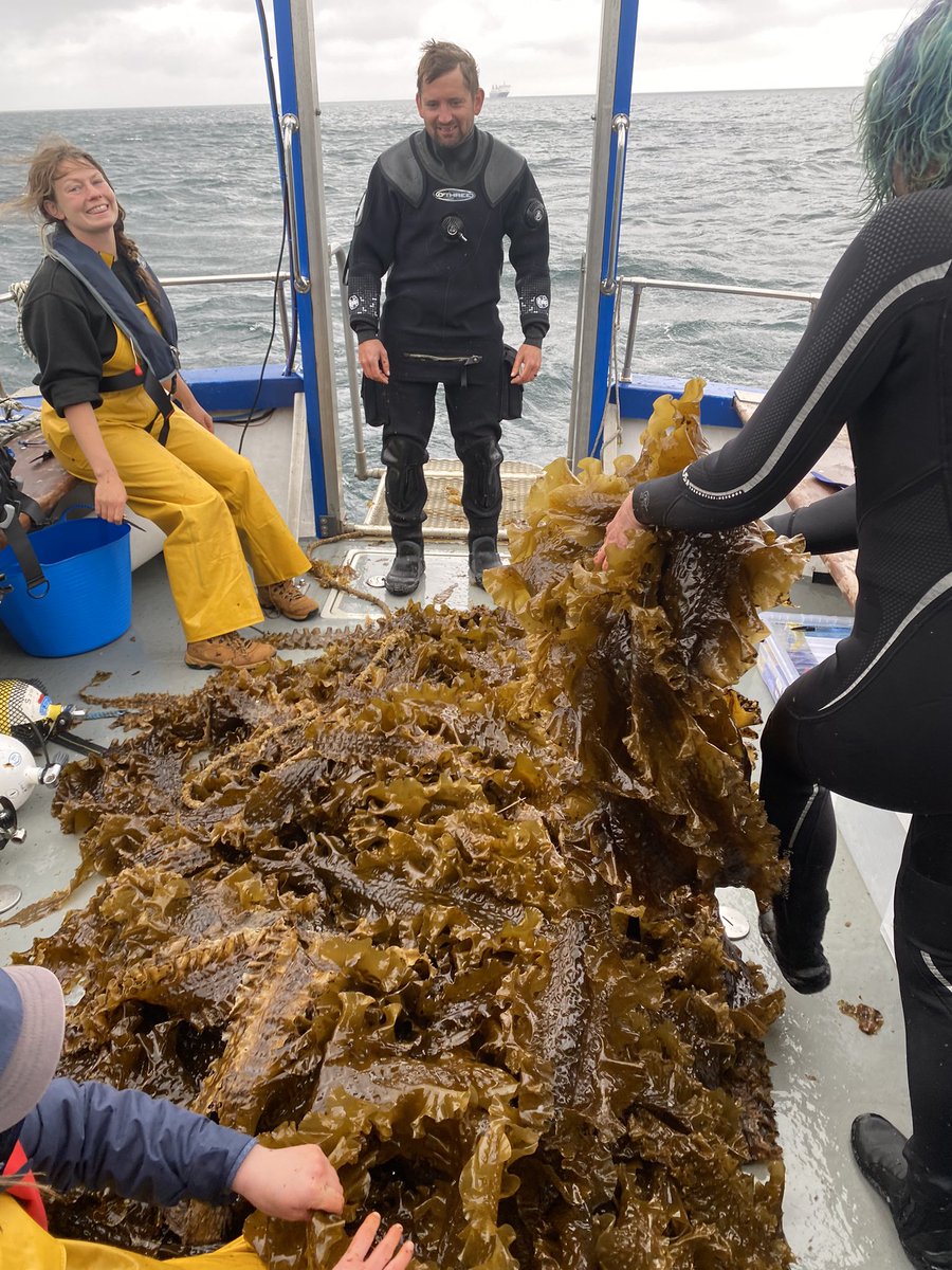 Emma Stuart tweet media