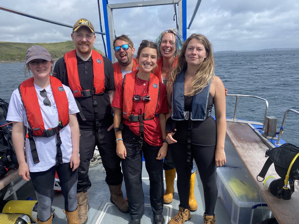 Emma Stuart tweet media