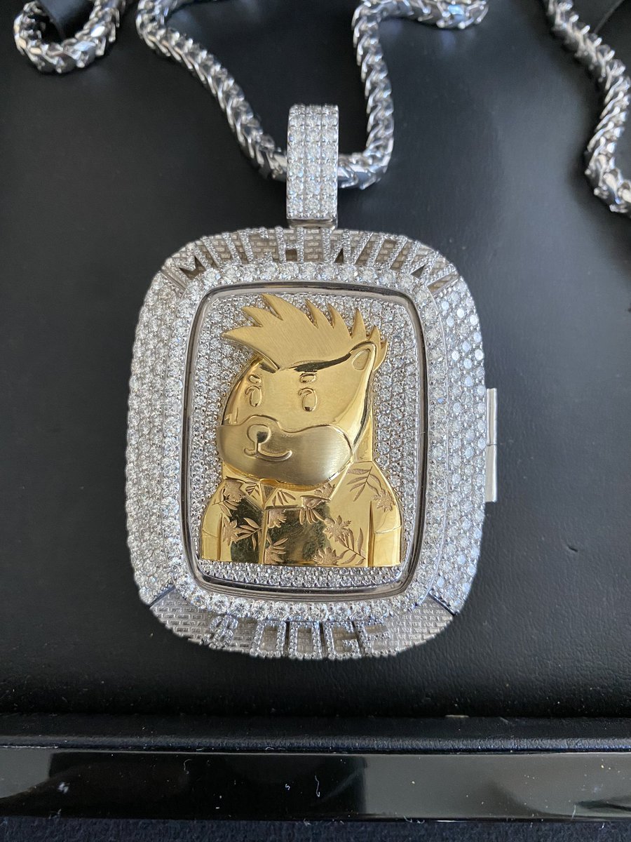 westcoastbill's tweet image. the only blockchain that matters. #dogecoin 👀🤣