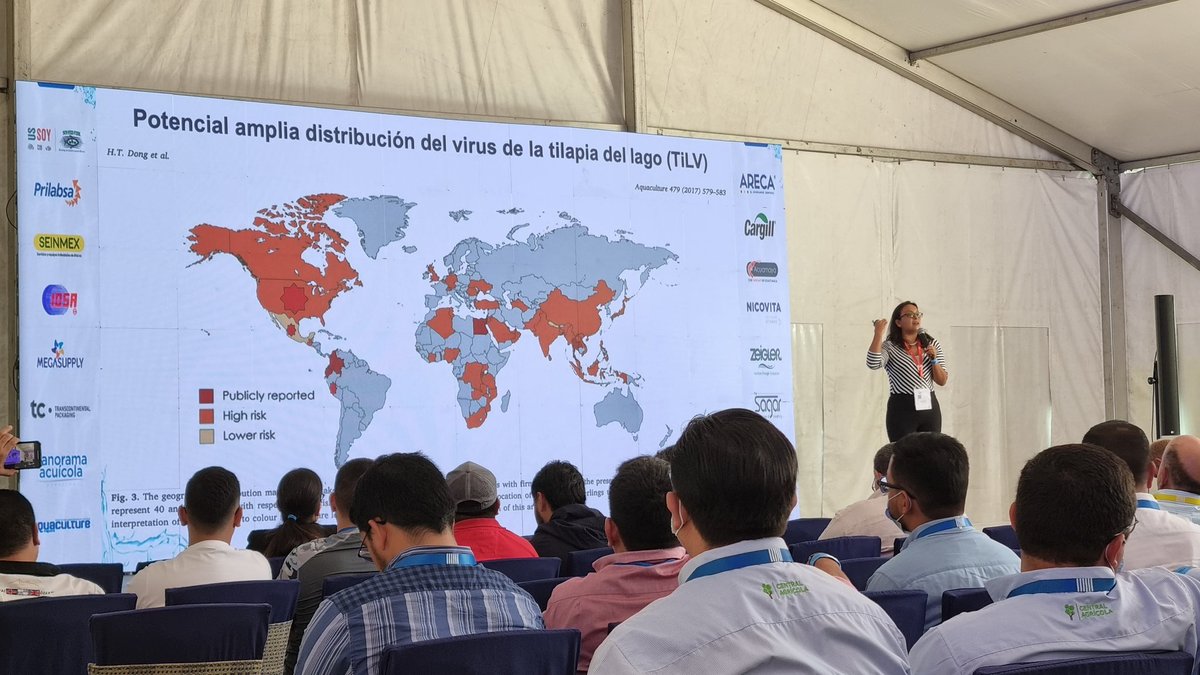 Andrea Vides tweet media