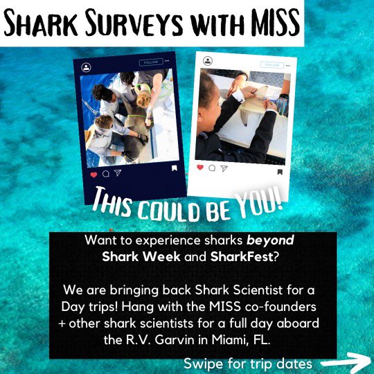 Minorities in Shark Sciences (MISS) tweet media