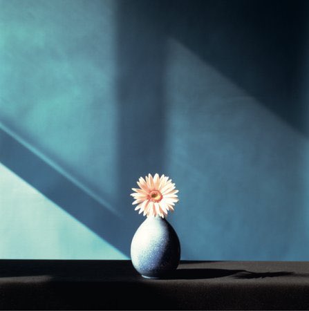 AnneMortier1's tweet photo. By Robert Mapplethorpe https://t.co/ygjUyQxYWg