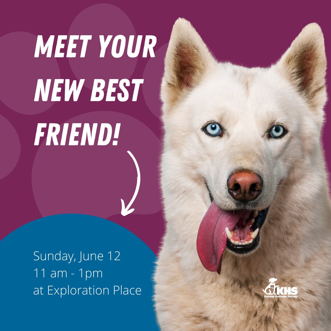 kshumanesociety's tweet photo. TODAY! Visit with adoptable dogs from Kansas Humane Society this Sunday from 11 am - 1 pm at @ExplorationKS. And while you're there, don't forget to check out their incredible new DOGS! A Science Tail exhibition to learn all about our canine companions. https://t.co/f7kZKQso5z