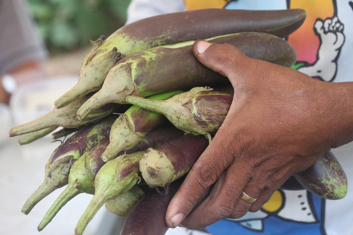 Results suggest that Asian respondents were more willing to pay more premiums for gene edited food. Despite the fact bioengineered food products offer benefits, there was no link between physical activity and willingness to pay for genetically edited food: shorturl.at/hltO8