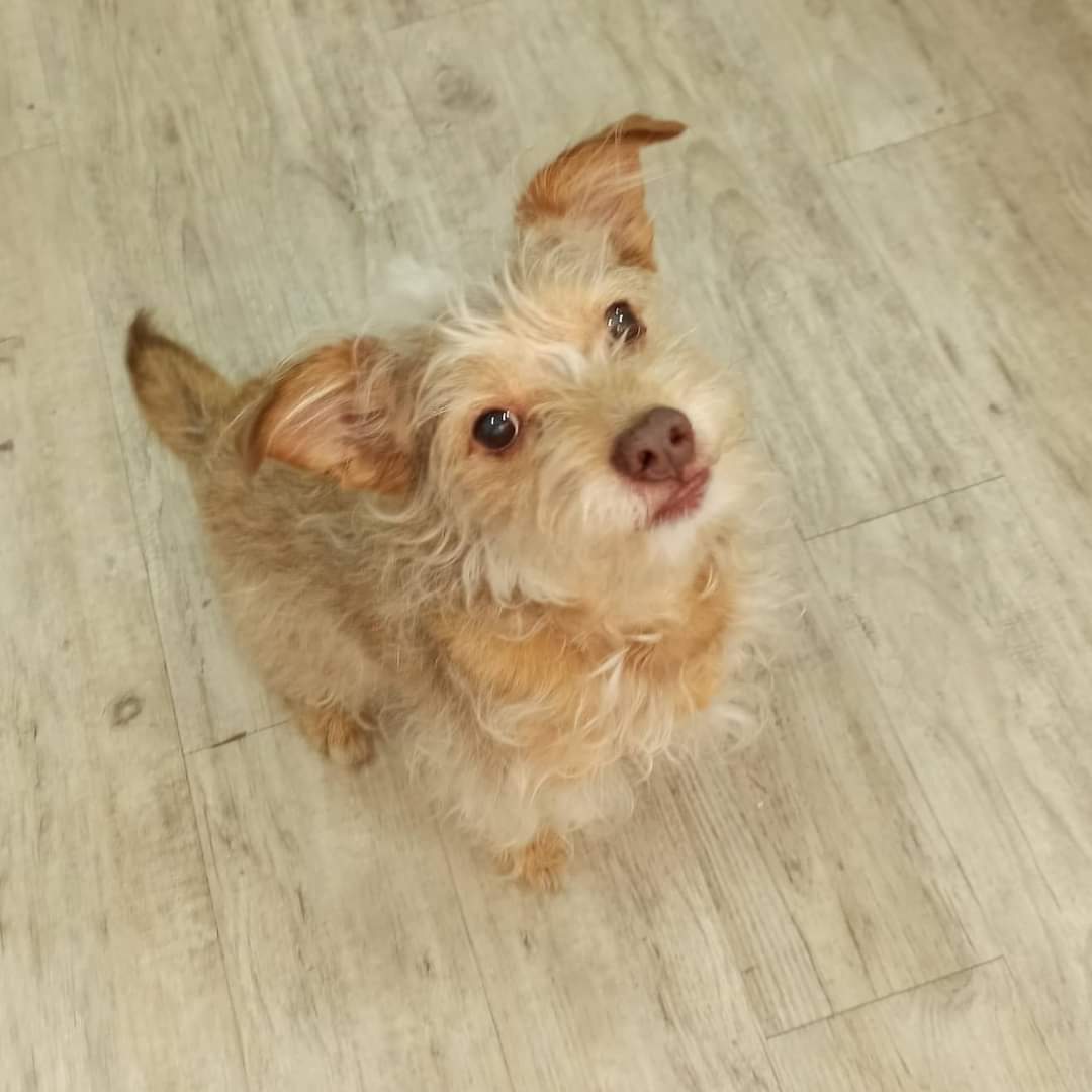 Asgard Legend tweet media