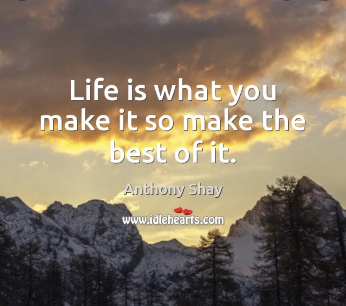 Everyday Life Quotes tweet media