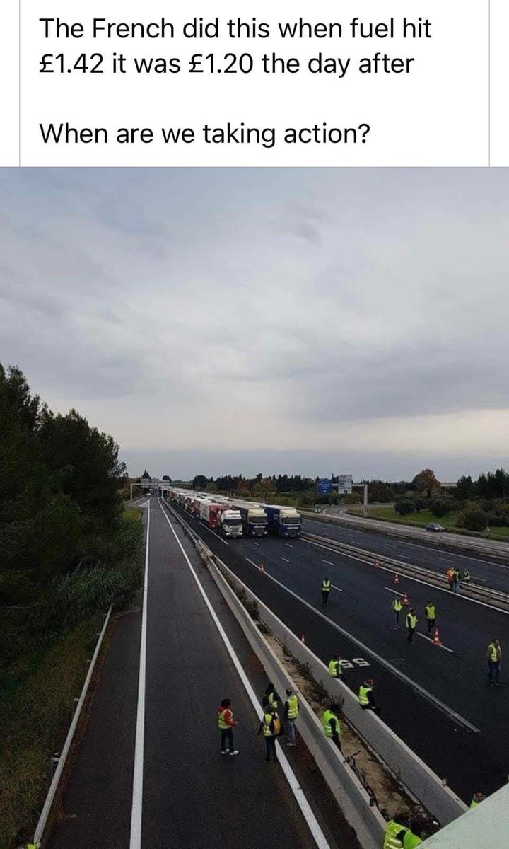 michael quinn tweet media